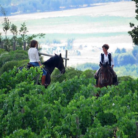 Castello Banfi - Il Borgo - Relais Et Chateaux Poggio alle Mura Экстерьер фото